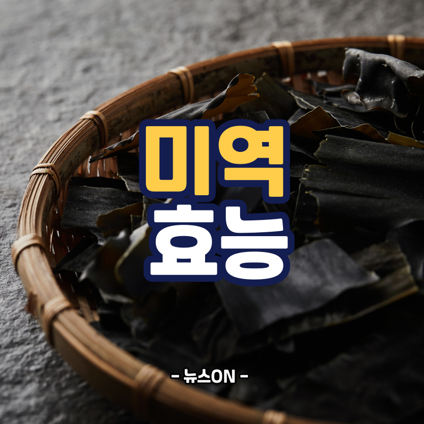 미역 효능