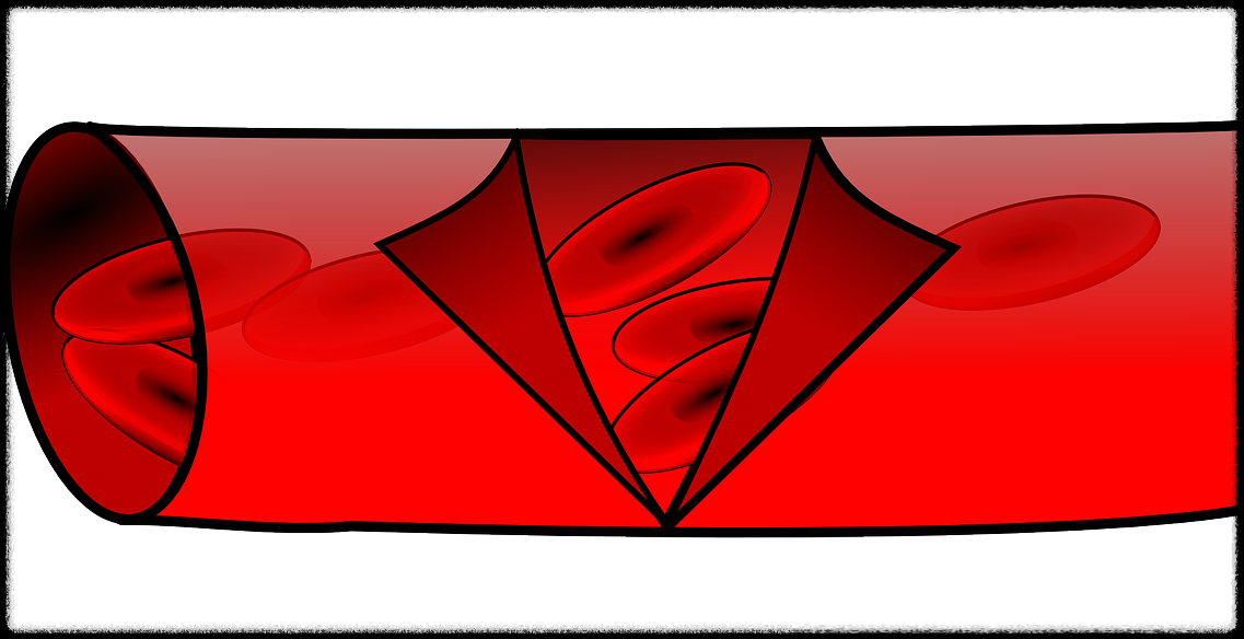 토마토 관련 이미지10