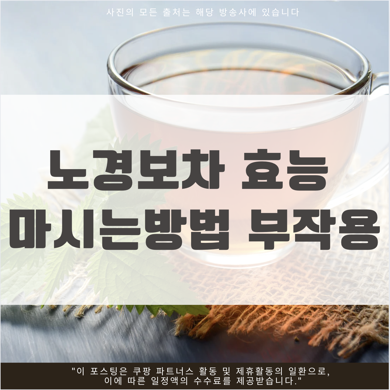 노경보차 효능 마시는방법 부작용