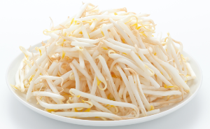 콩나물