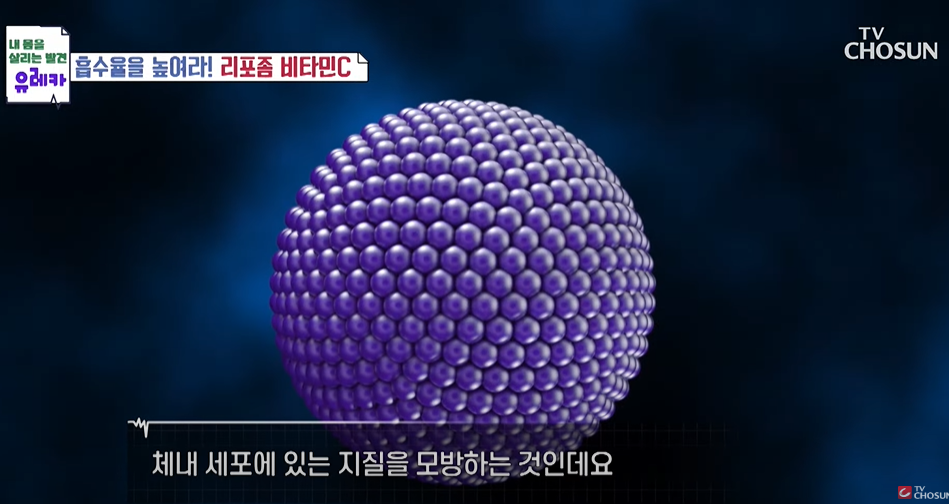 리포좀비타민C