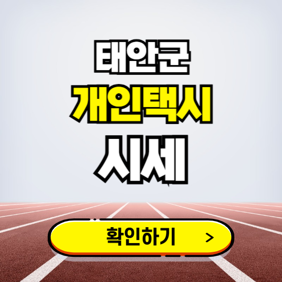 태안군 개인택시 면허 시세 조회하기 ❘ 번호판 가격 실시간 보기 ❘ 매물정보