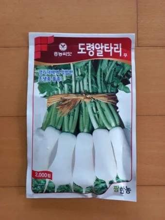 알타리무 파종시기 핵심 포인트_20