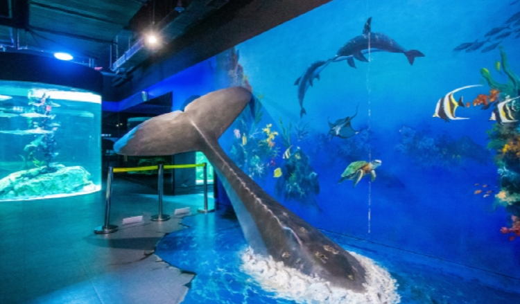 울진 아쿠아리움
