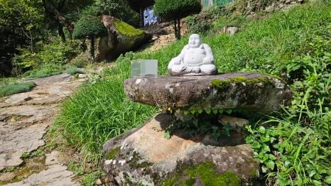 제천 무암사 : 금수산 안개 속에 숨겨진 천년 고찰 소의 전설과 신비로움을 간직한 사찰