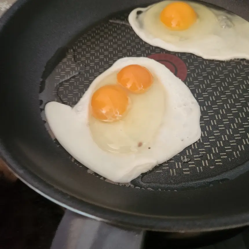 쌍란