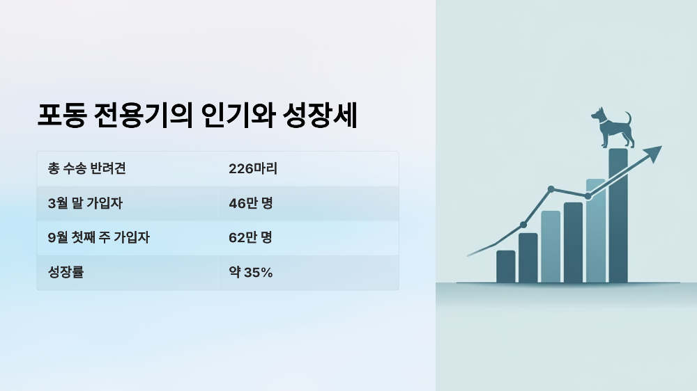 포동 전용기의 인기와 성장세