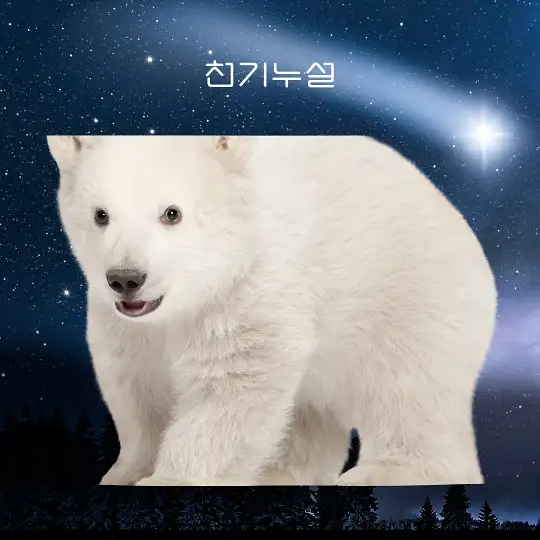 곰이 나오는 꿈 해몽
