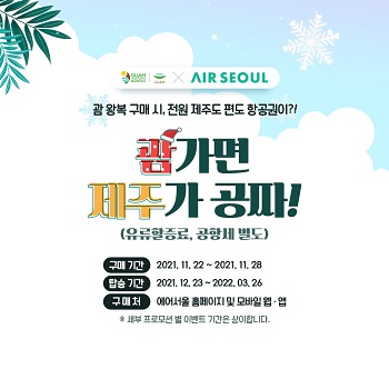 제주도 항공권 예매