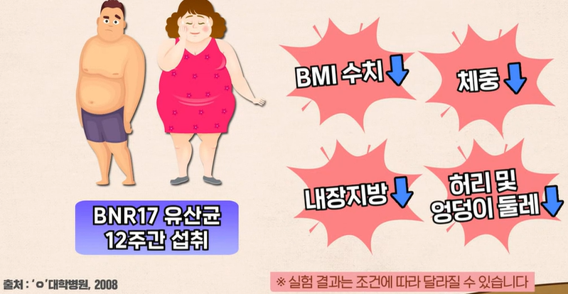 bnr17유산균 효능