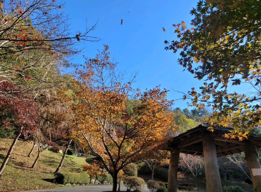진해드림파크1