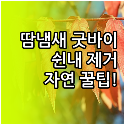 땀 냄새 쉰내 없애는 자연 소재 세탁..