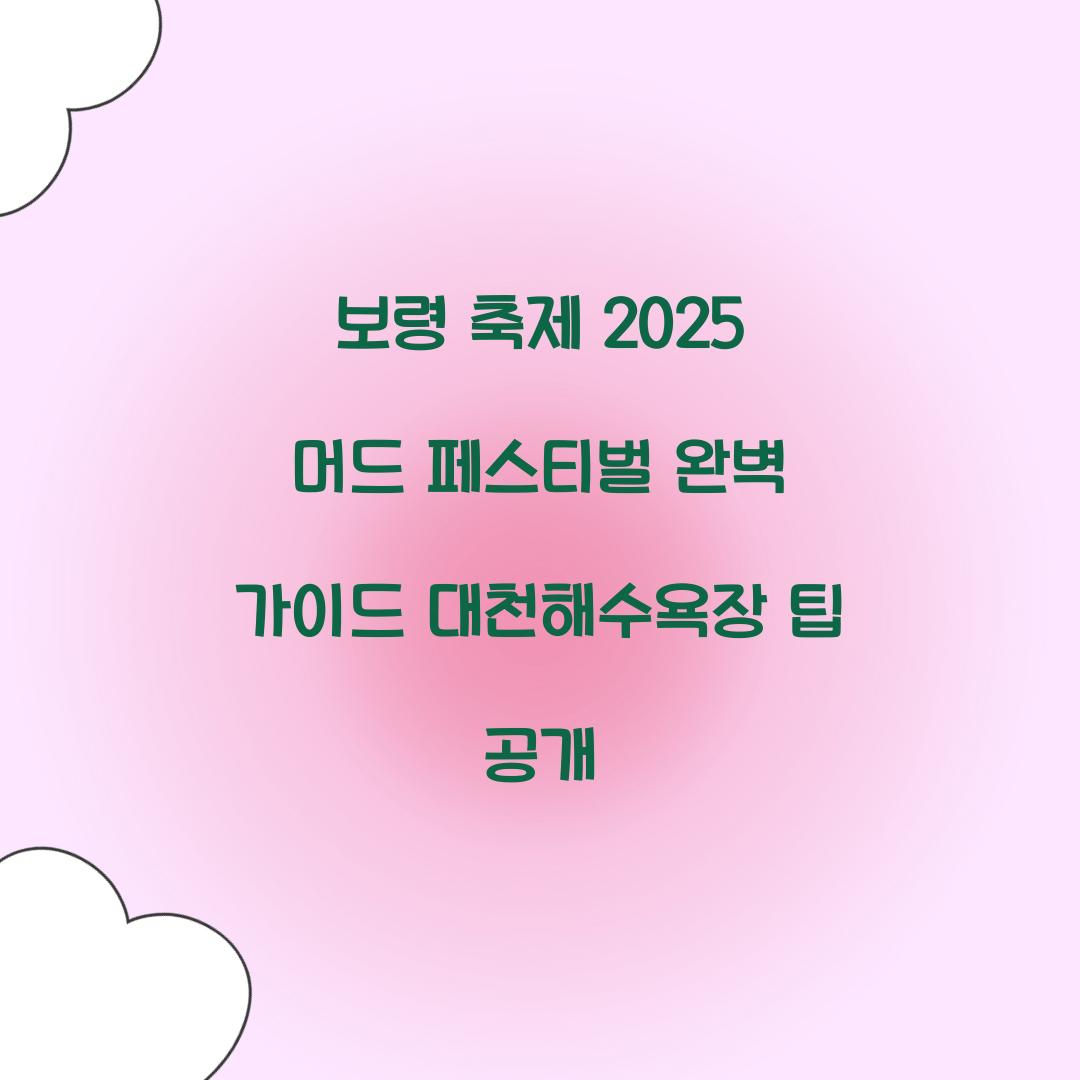 보령 축제 2025 머드 페스티벌