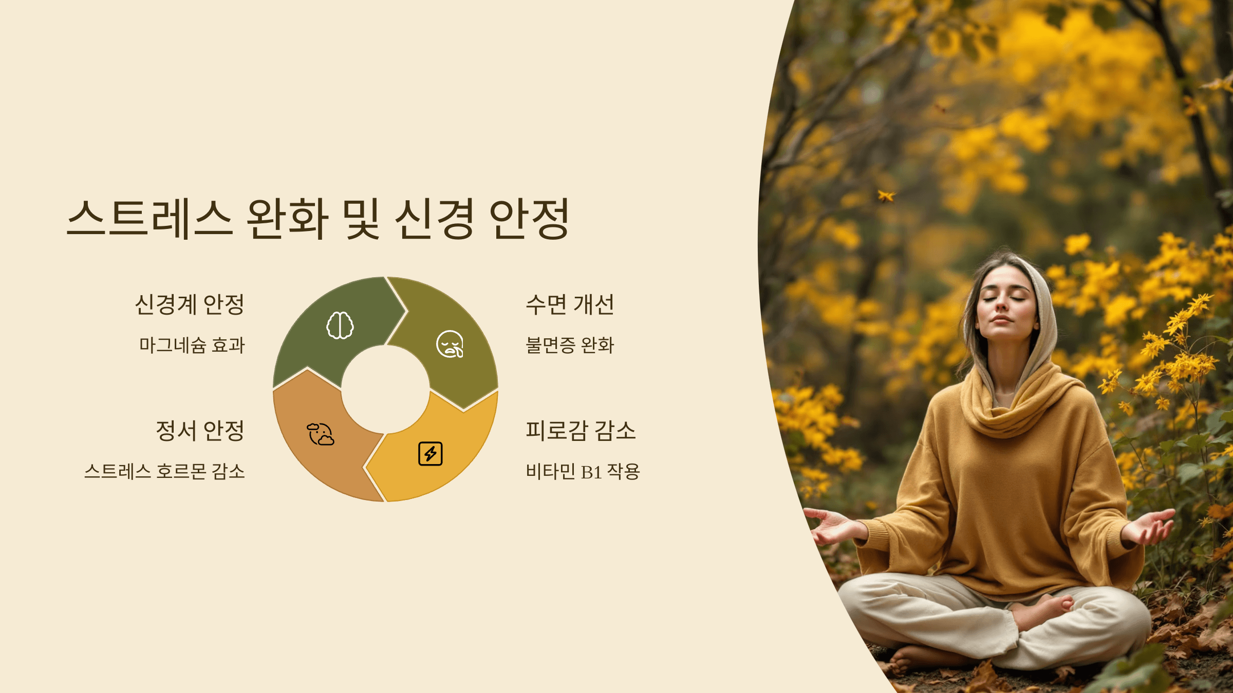 기장 사진입니다.