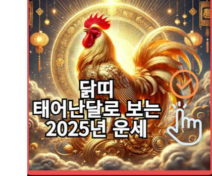 2025년 닭띠 운세