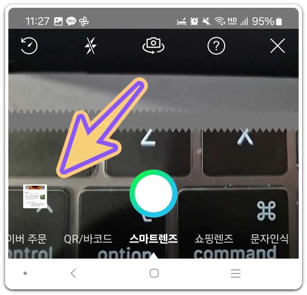 꽃-나무-이름-찾기-검색-방법