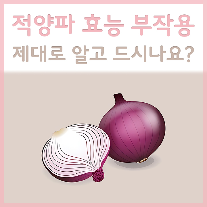 적양파