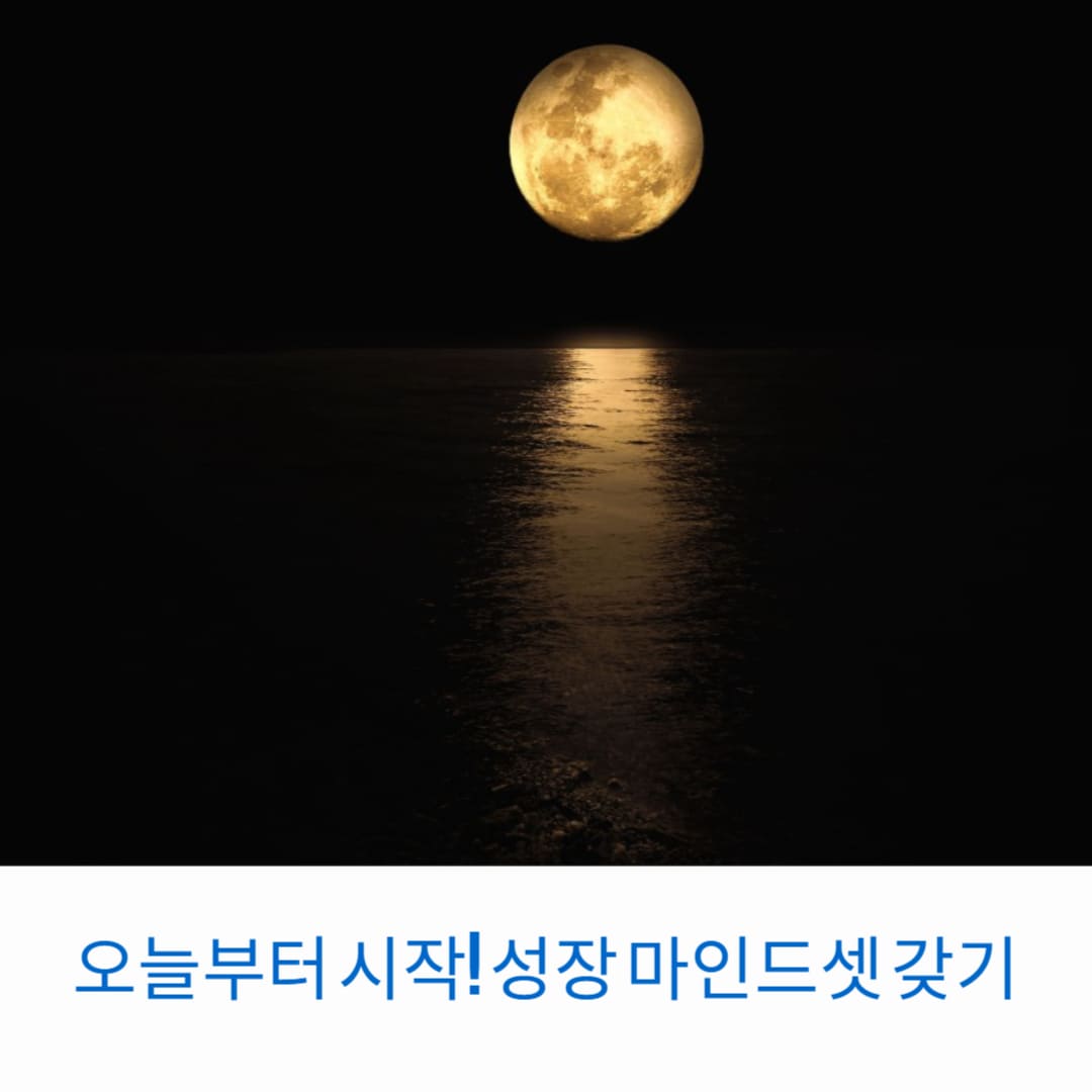 오늘부터-시작-성장-마인드셋-갖기-썸네일