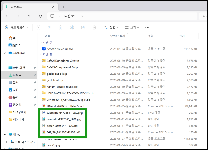 파일 목록에 확장자가 표시되는 화면