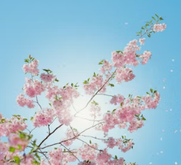 이석증 증상 후유증 원인 예방치료방법