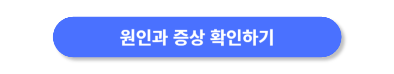 버튼