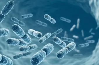 유산균 종류 먹는 시간 섭취방법_30