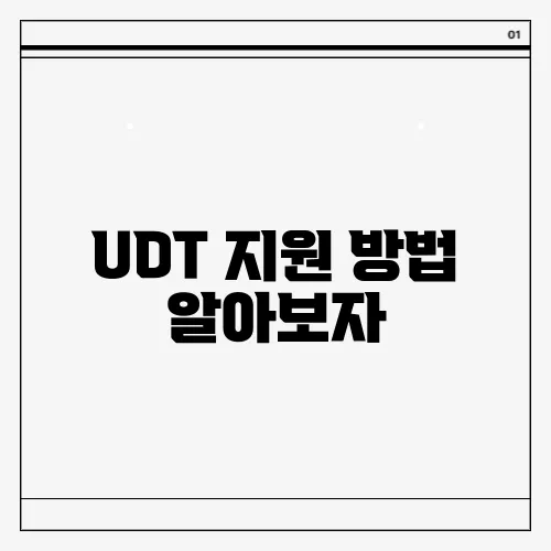 UDT 지원 방법 알아보자