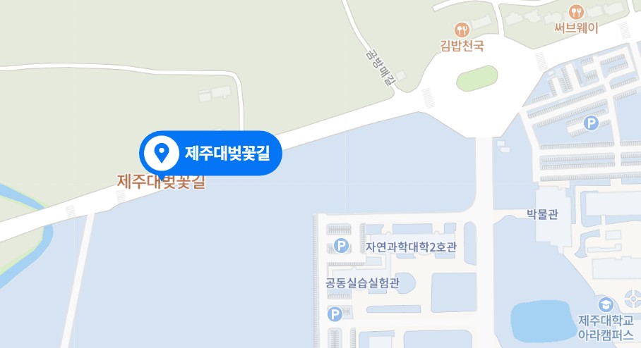 2021벚꽃개화시기7