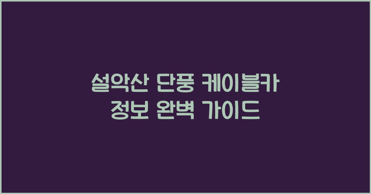 설악산 단풍 케이블카 정보