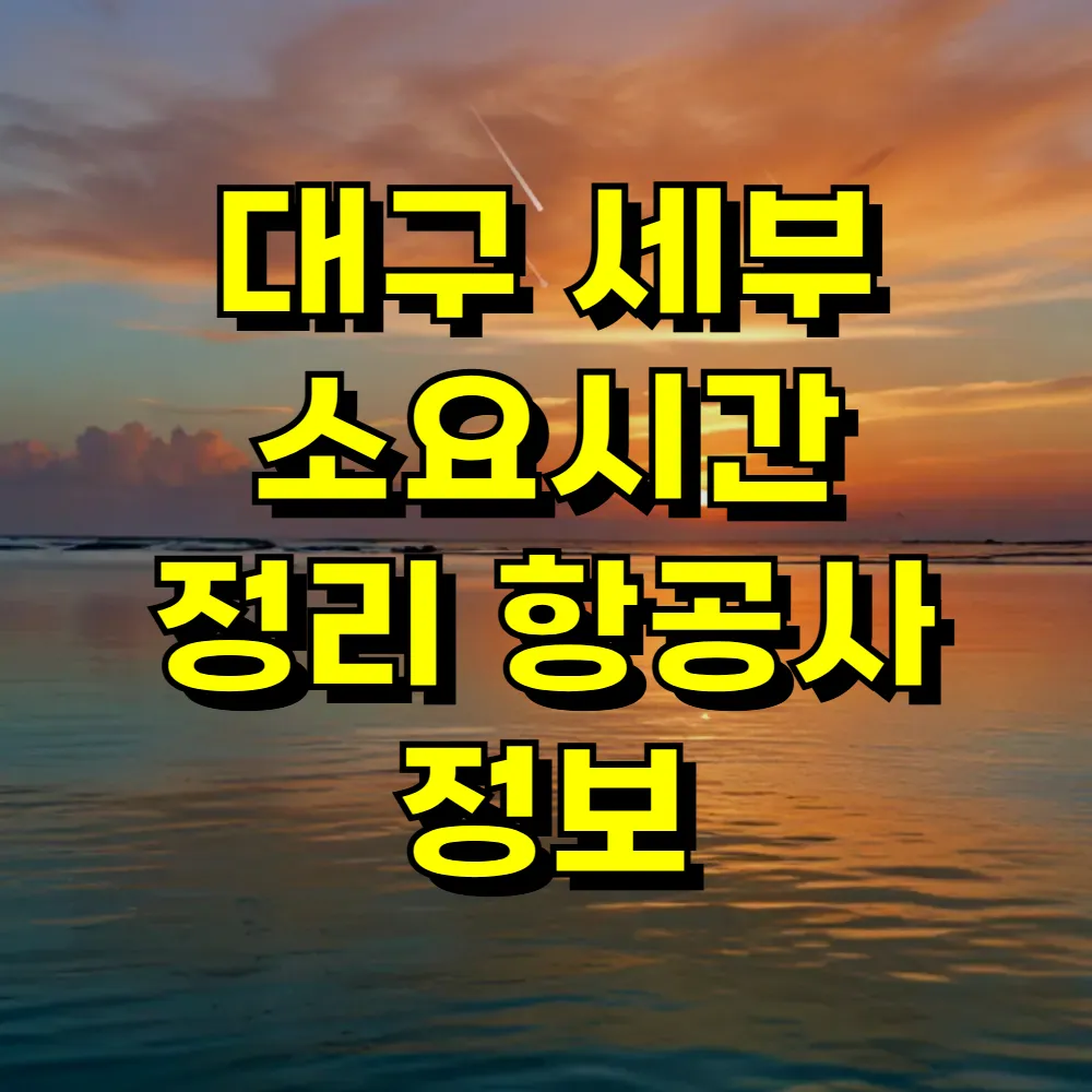 대구 세부 소요시간 정리 항공사 정보