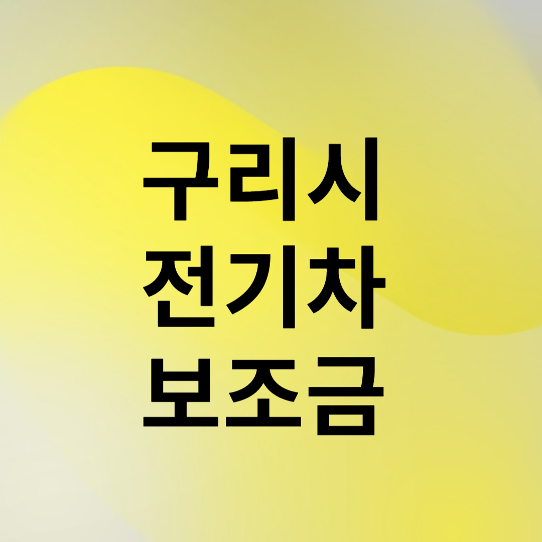구리시 전기차 보조금
