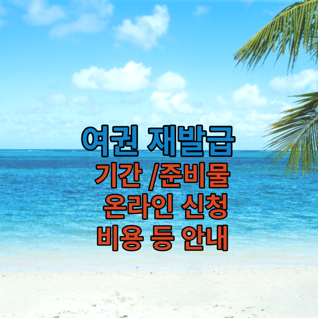 여권 재발급