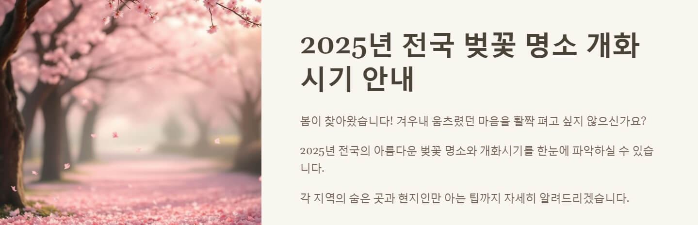 전국 벚꽃 명소 개화시기