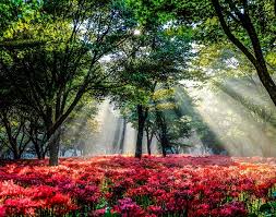 9월 가볼만한 곳 베스트