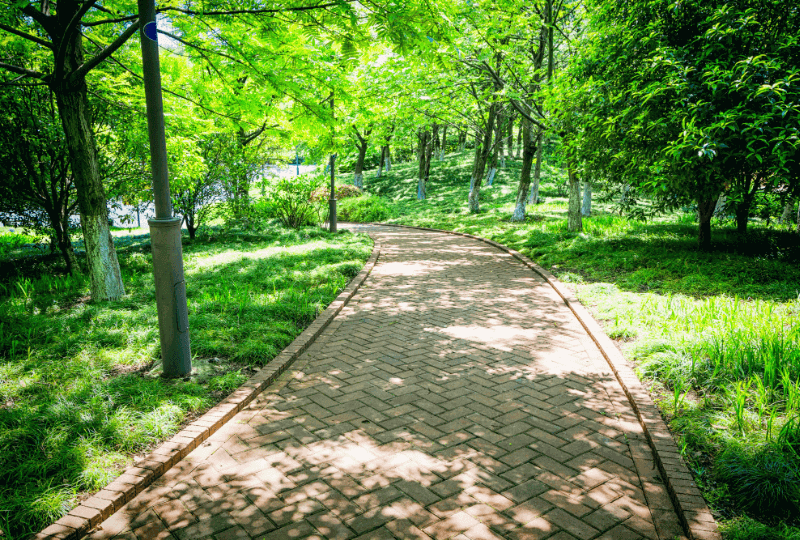 산책로