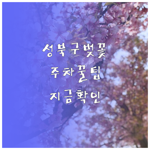 2026 서울 벚꽃 구경 성북구 개화..