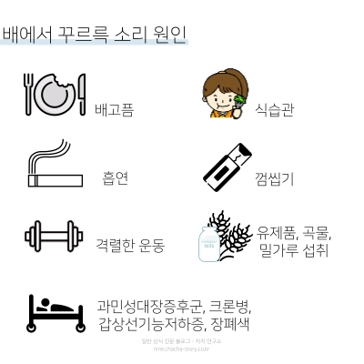배에서-꾸르륵-소리-원인-배고픔-식습관-흡연-껌씹기-격렬한-운동-유제품-곡물-밀가루-섭취-과민성대장증후군-크론병-갑상선기능저하증-장폐색-등이-있다