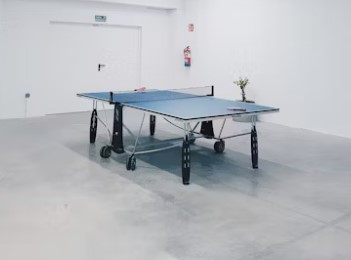 pingpong