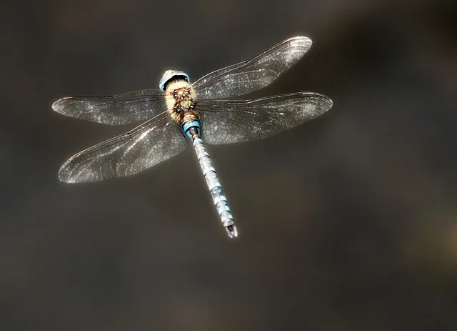 편한대로 편한데로 맞춤법 사용예시_5