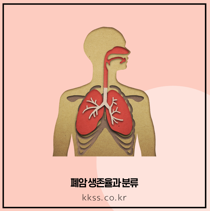 폐암 생존율과 분류