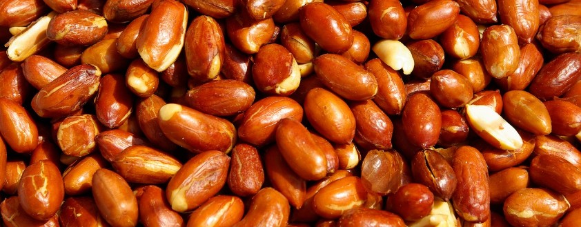 견과류 하루 섭취량 - 땅콩 하루 섭취량 / 칼로리