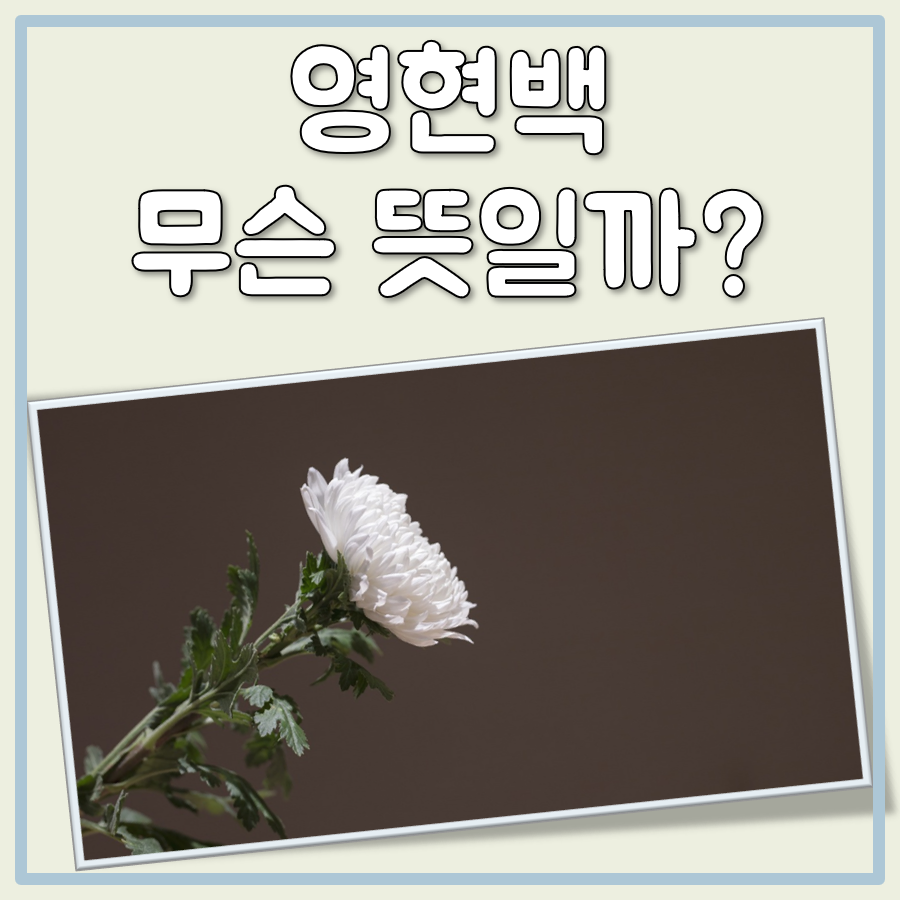 영현백 뜻 대표 이미지