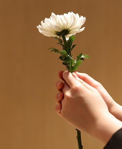 죽음을 디지털로 설계하는 전문가