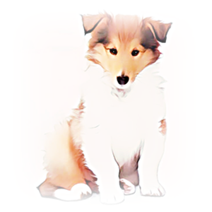 안녕soni