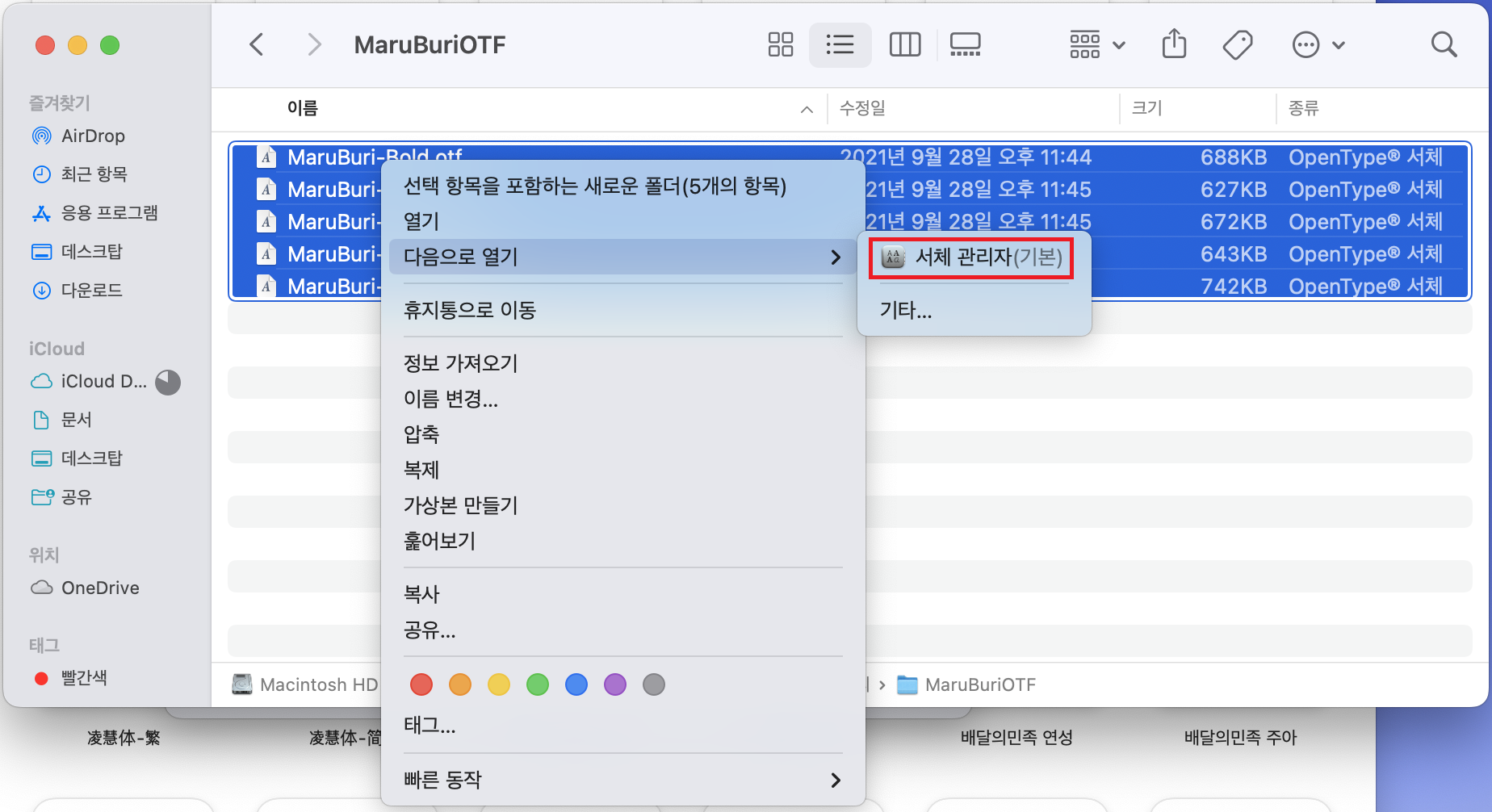 macOS 설치 방법 2