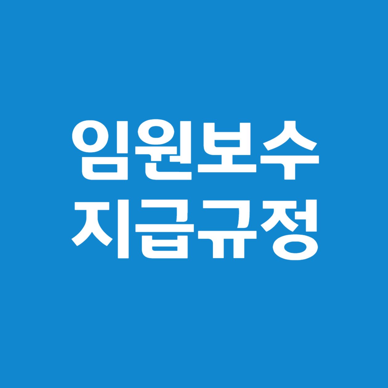 임원 보수 지급 규정에 대한 해설