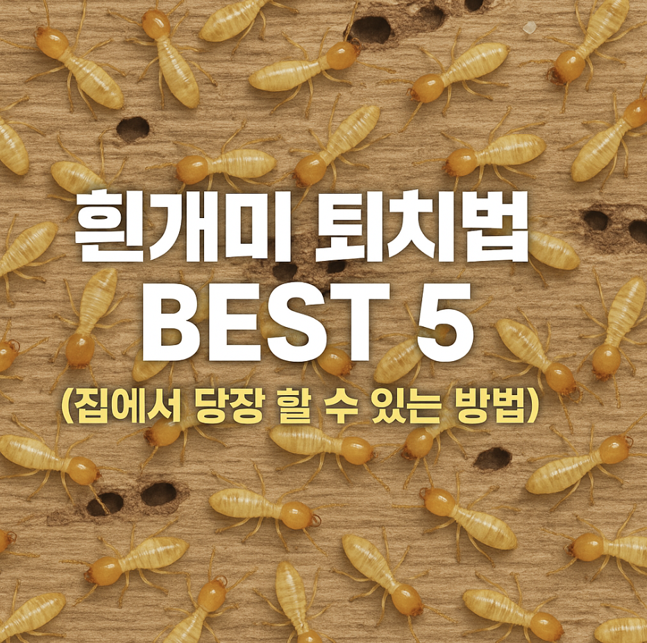 흰개미 퇴치법 BEST 5 (집에서 당장 할 수 있는 방법)
