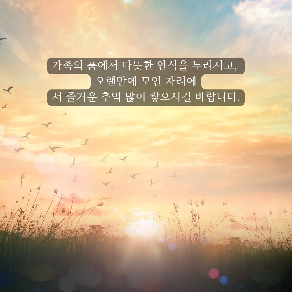 추석 인사말 한가위 인사 이미지 문구 모음집 안부