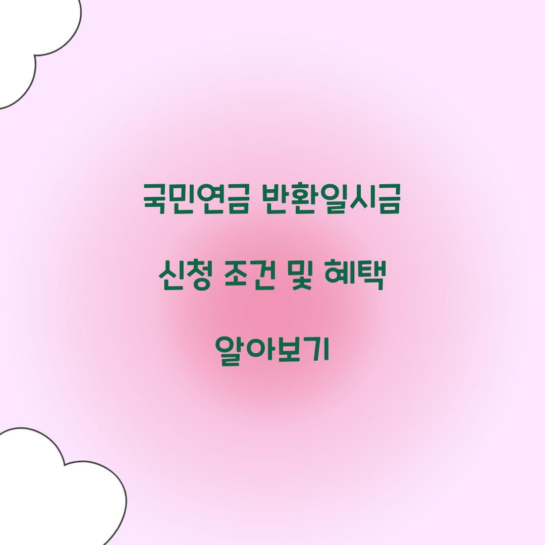 국민연금 반환일시금 신청