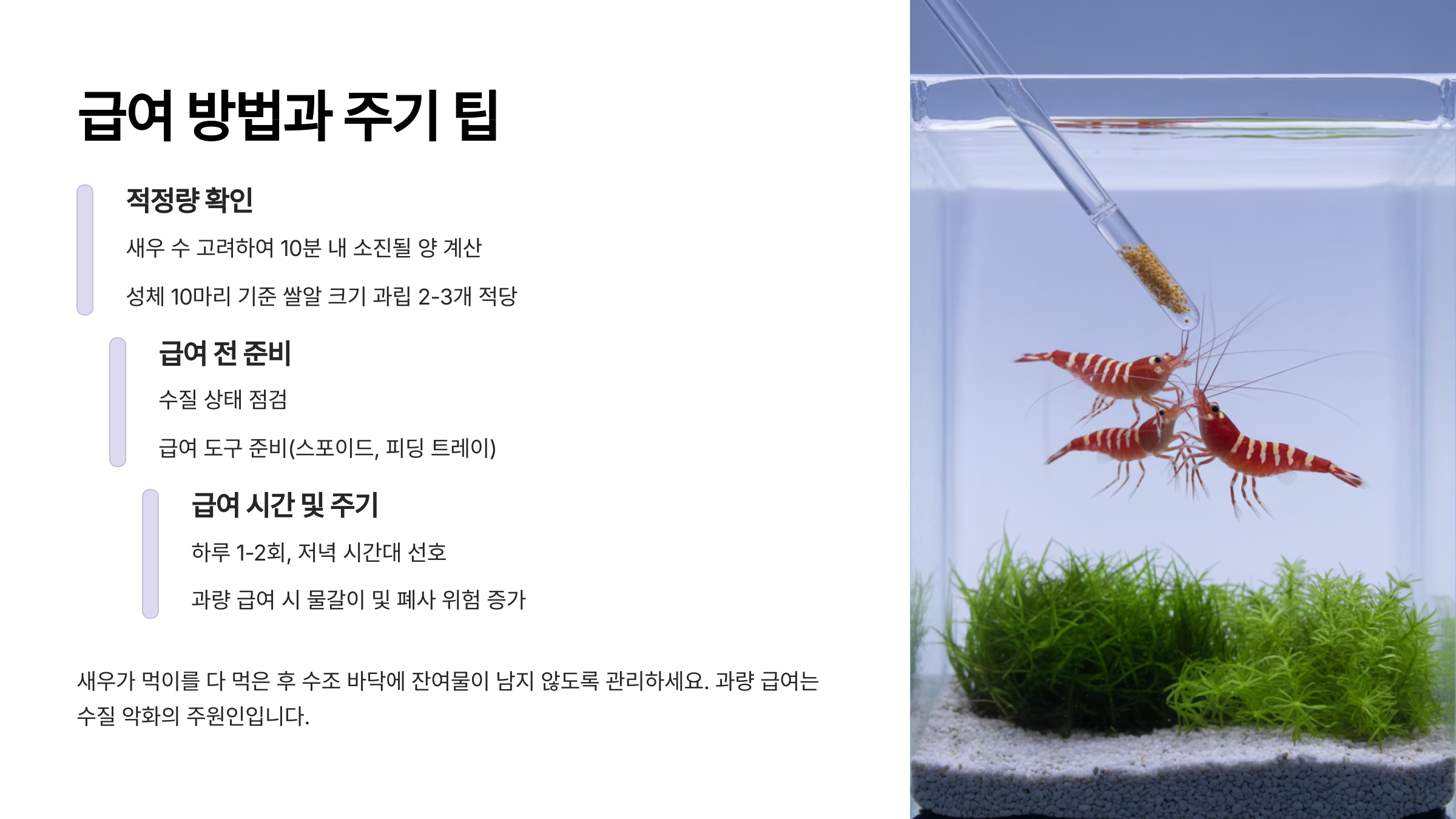 급여 방법과 주기 팁